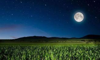 从此风清月朗,风清月朗下的诗意时光