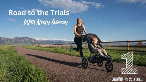 格蕾西的后院,探索自然与生活的和谐画卷