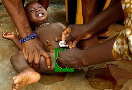 处女器官,探索人体奥秘的神秘之门